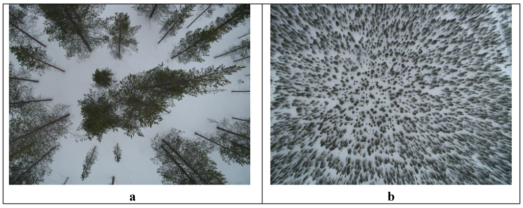 Remotesensing 01 01380 g004a 1024