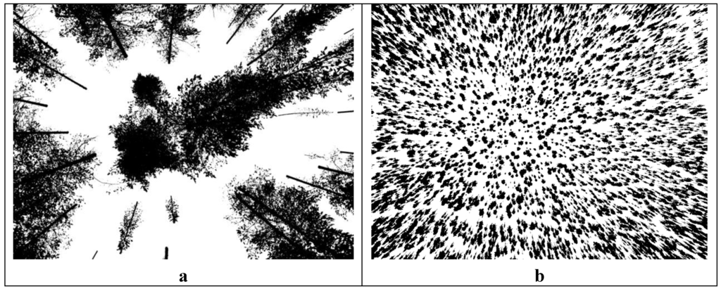 Remotesensing 01 01380 g004b 1024