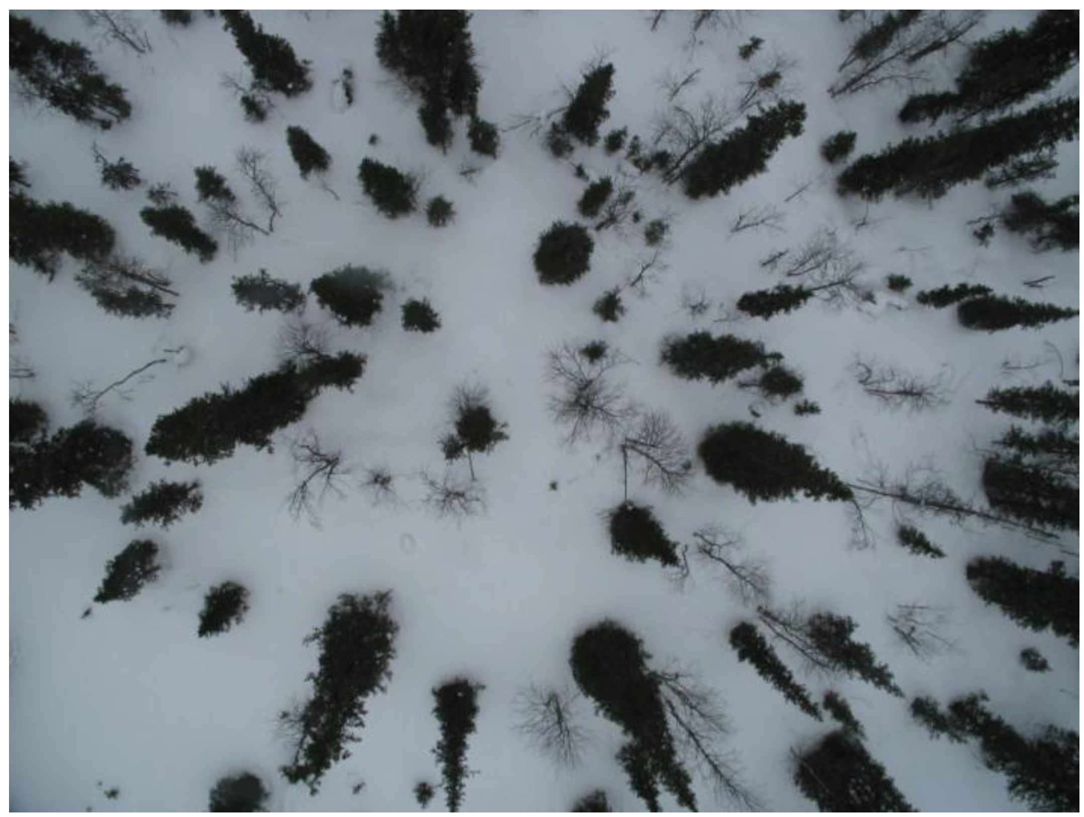 Remotesensing 01 01380 g010