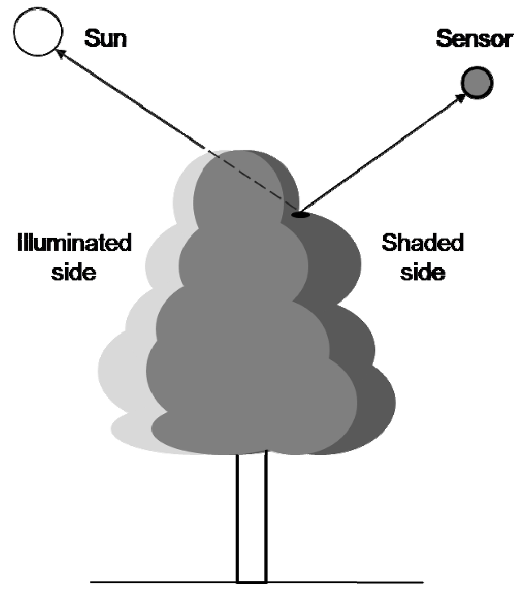Remotesensing 02 00019 g003 1024