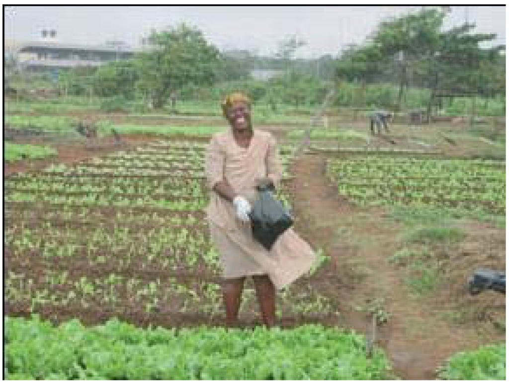 Remotesensing 02 00497 g002 1024