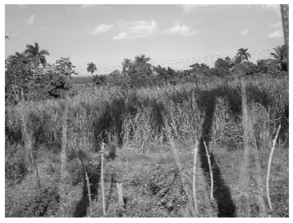 Remotesensing 02 00740 g008 1024