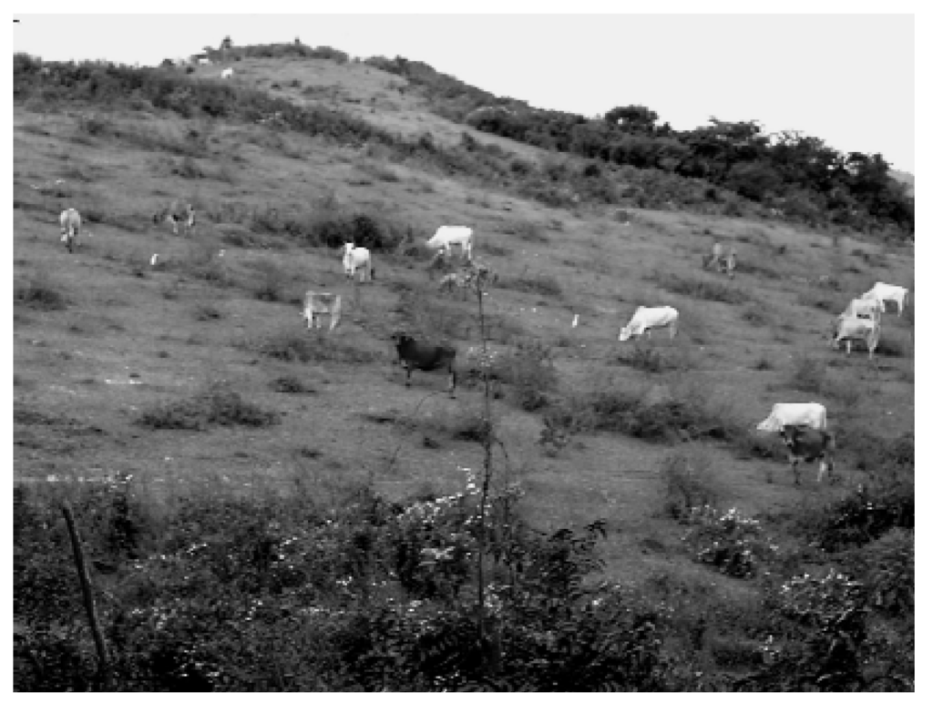 Remotesensing 02 00740 g009 1024