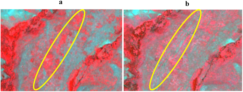 Remotesensing 02 00861 g008 1024