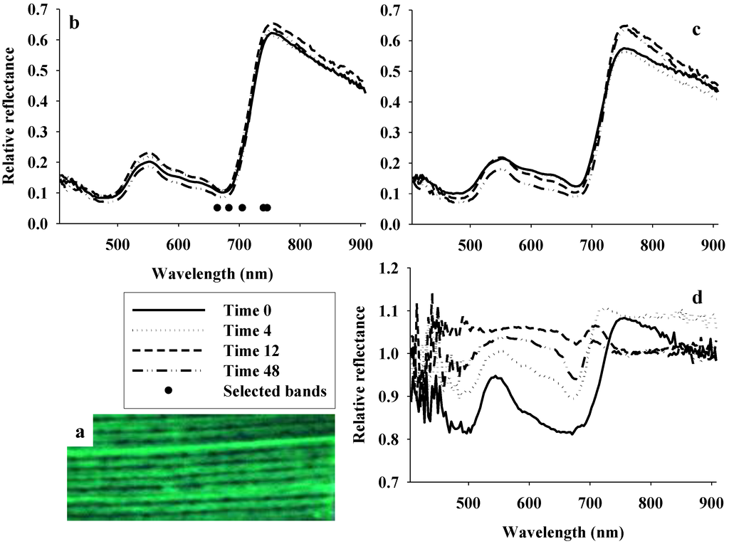 Remotesensing 02 00908 g004 1024