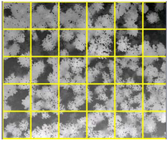 Remotesensing 02 00968 g005 550