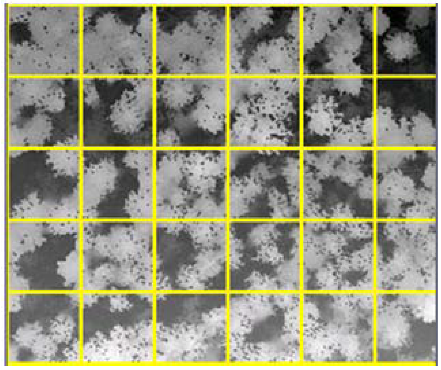 Remotesensing 02 00968 g005