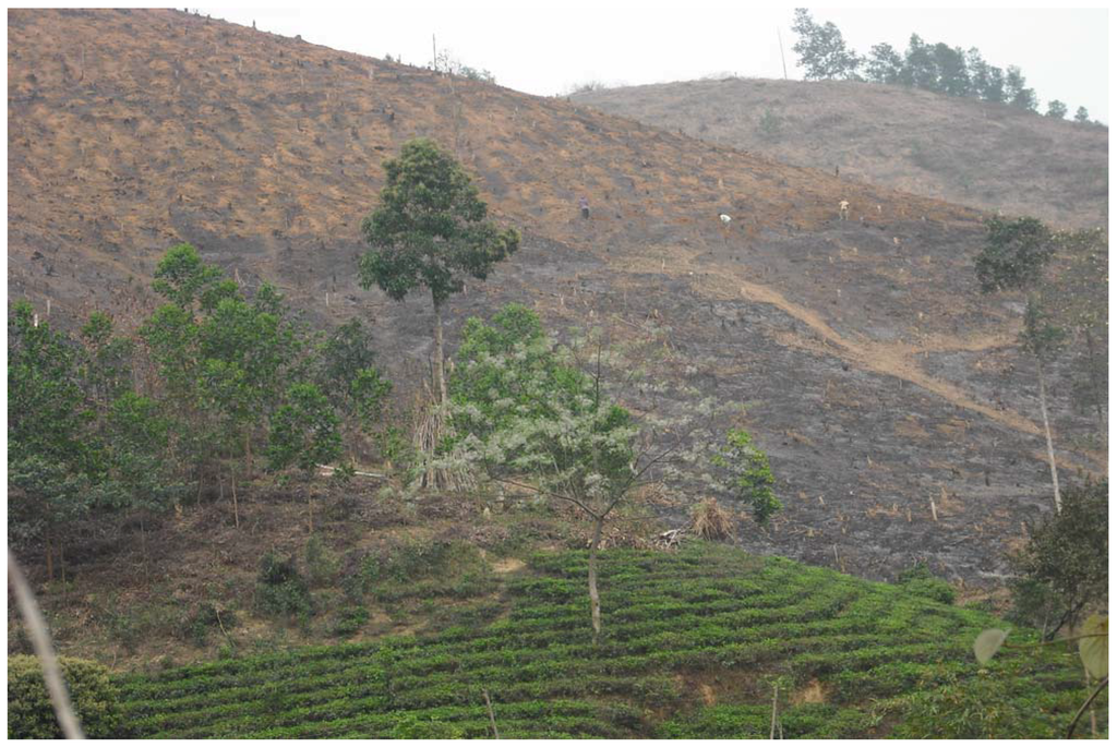 Remotesensing 02 01249 g002 1024