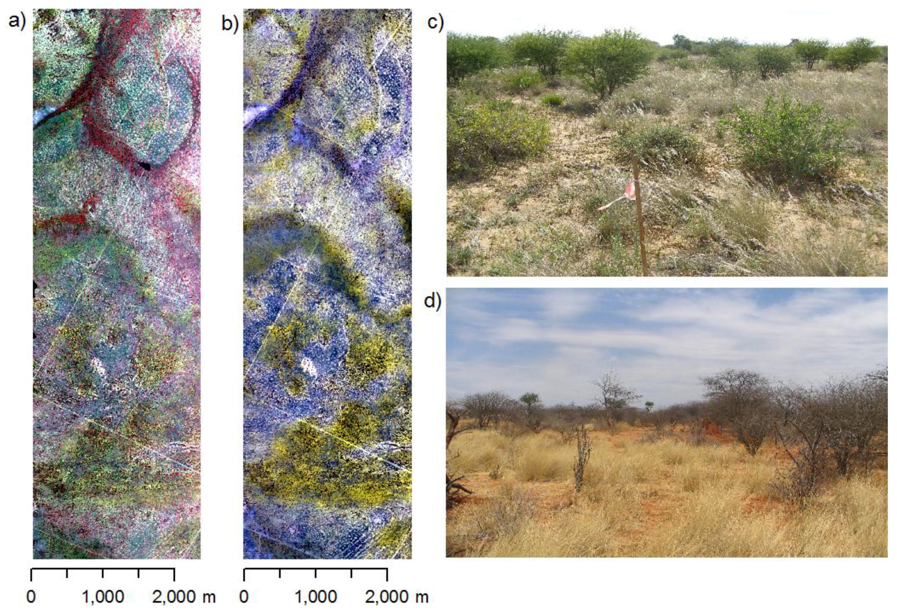 Remotesensing 02 01416 g002