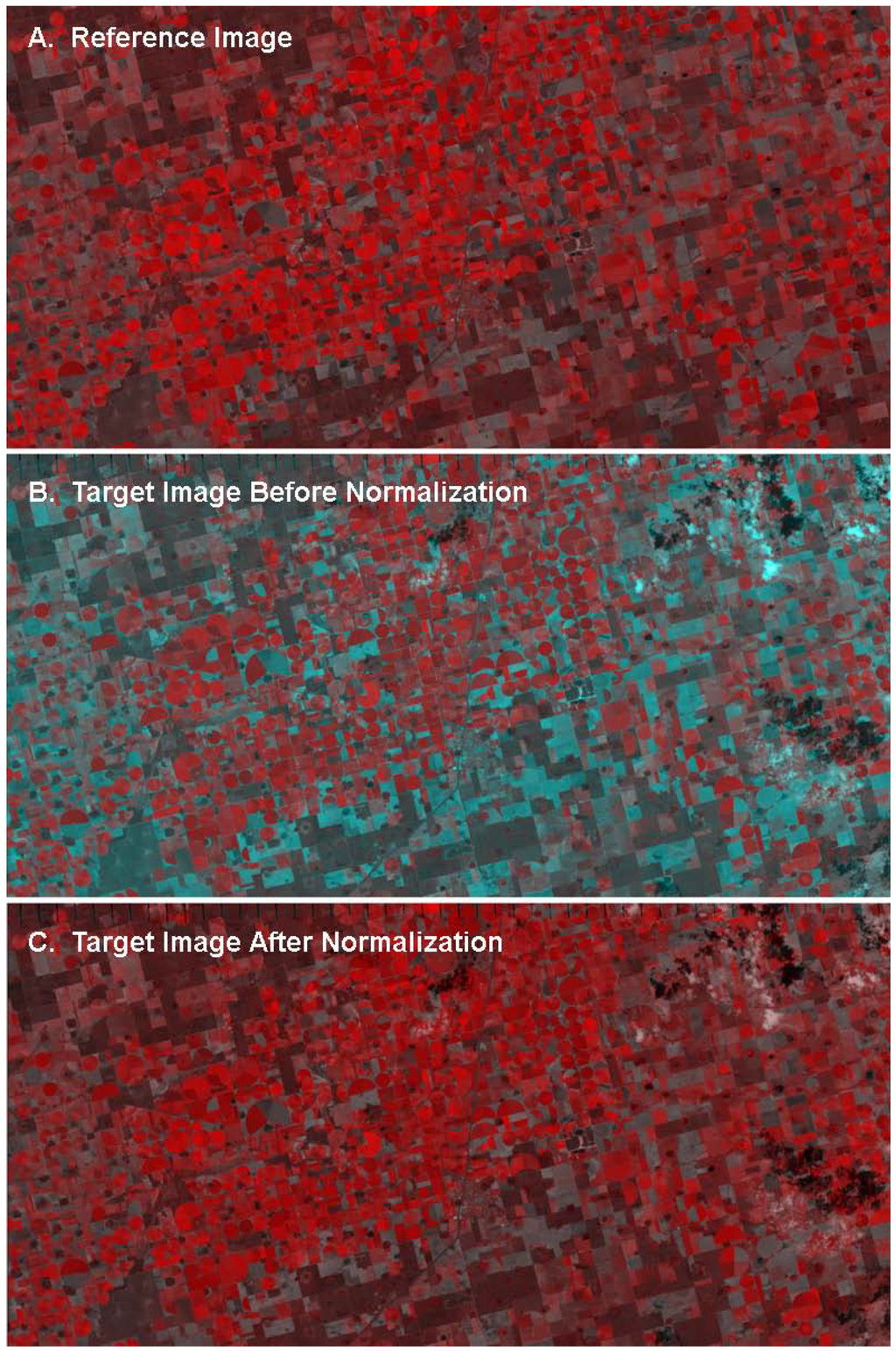 Remotesensing 02 01644 g004 1024