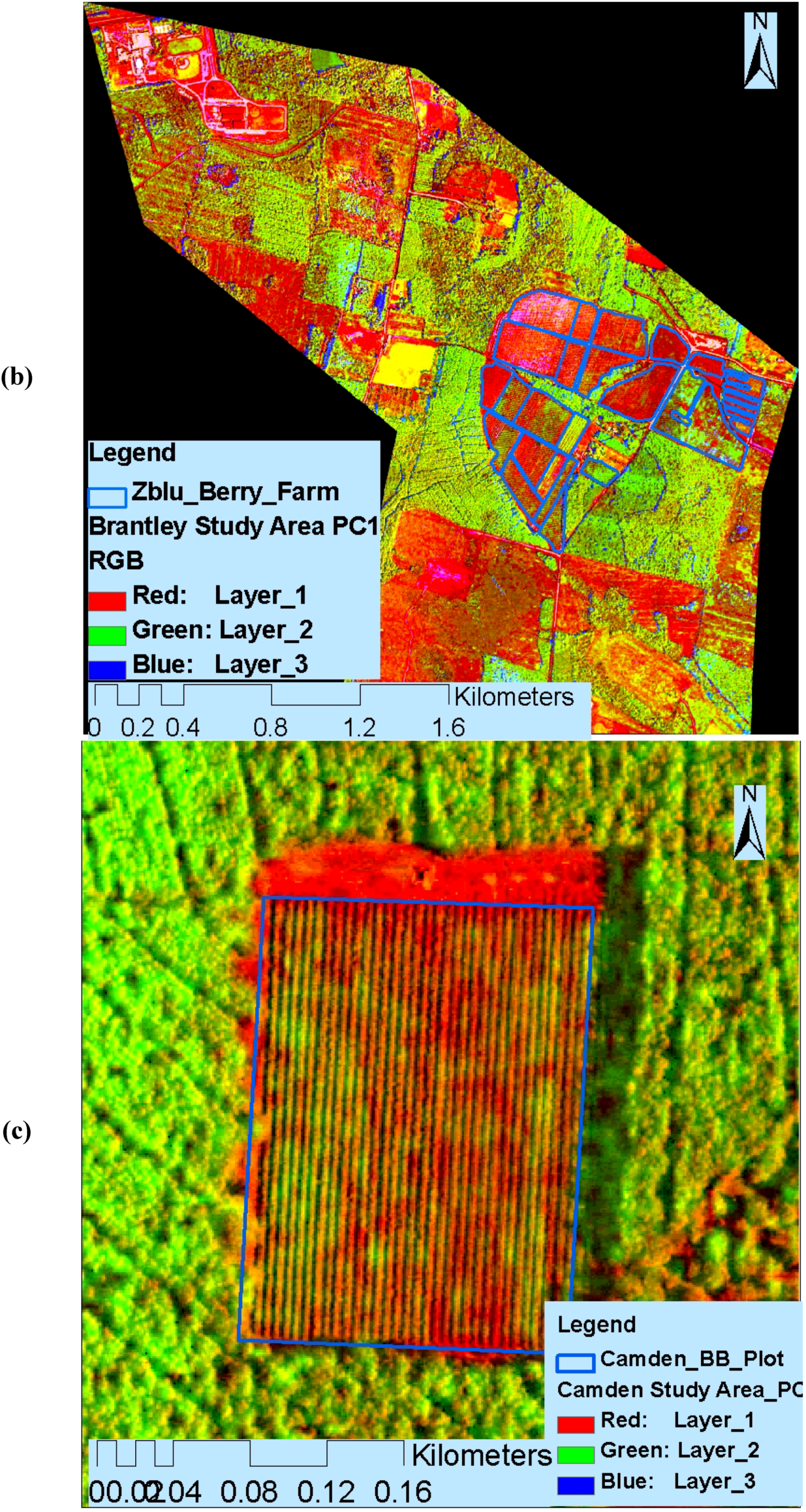 Remotesensing 02 01973 g002b