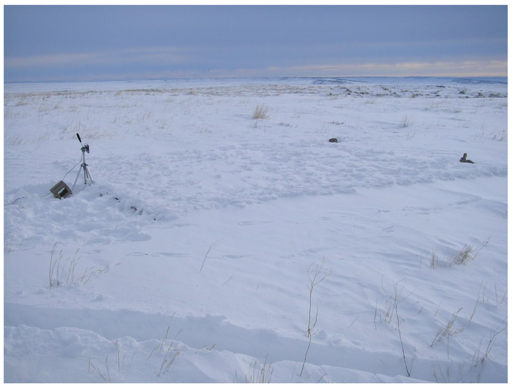 Remotesensing 02 02426 g002 1024