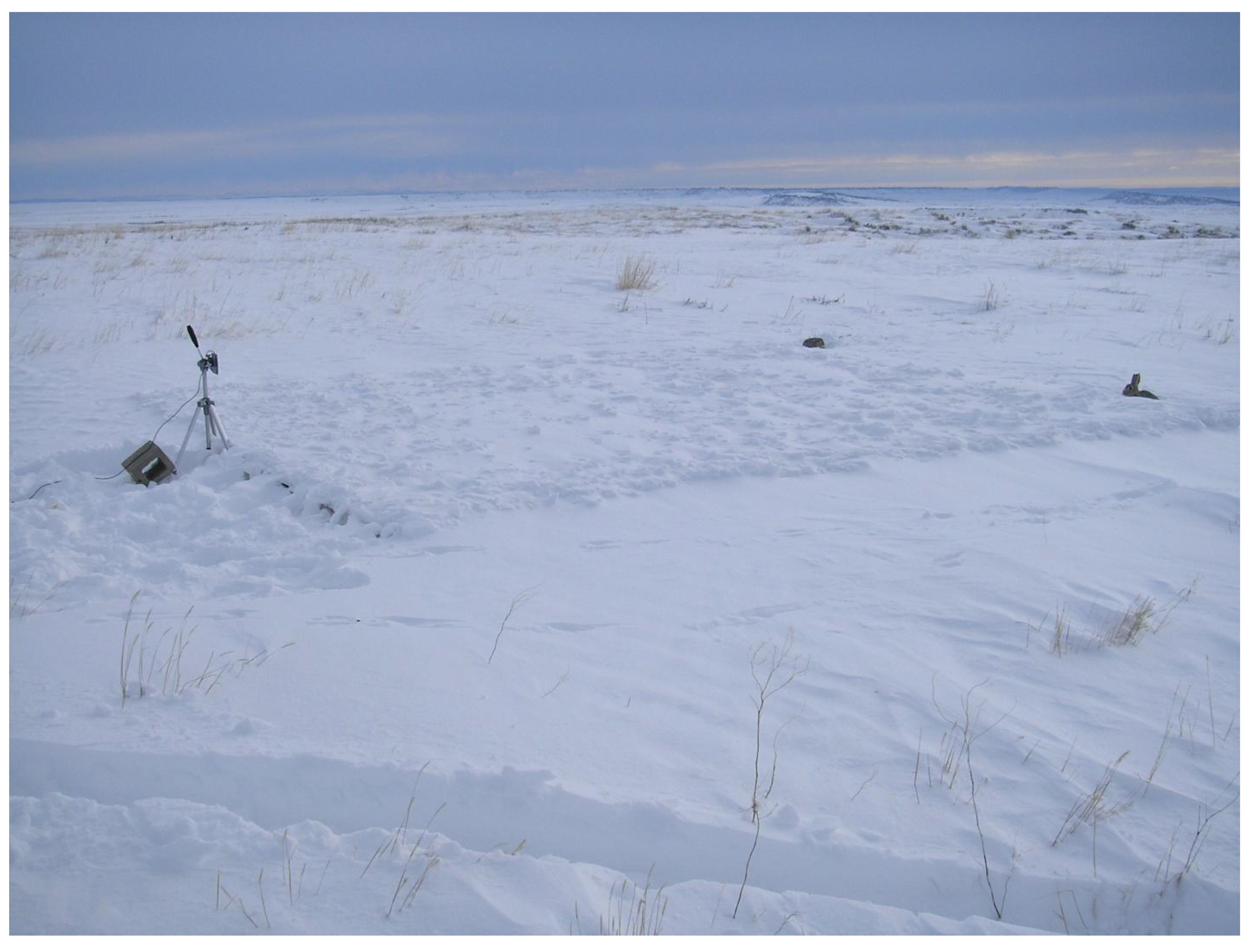 Remotesensing 02 02426 g002