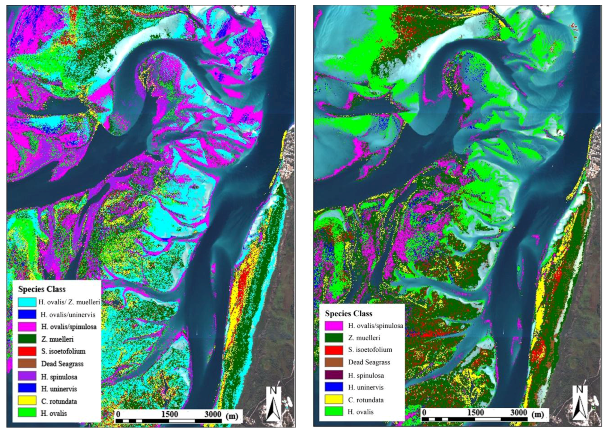Remotesensing 03 00042 g005