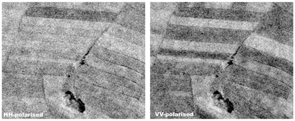 Remotesensing 03 00859 g001 1024