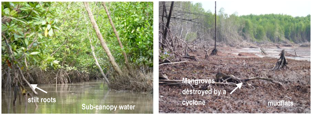 Remotesensing 03 00878 g002 1024