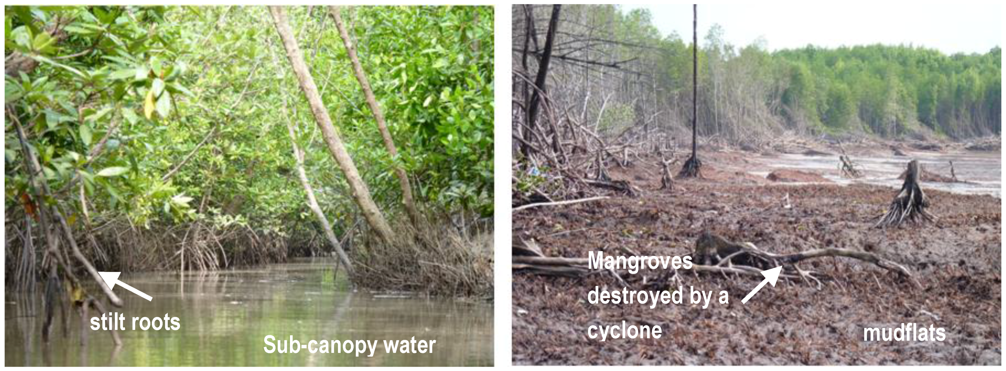 Remotesensing 03 00878 g002