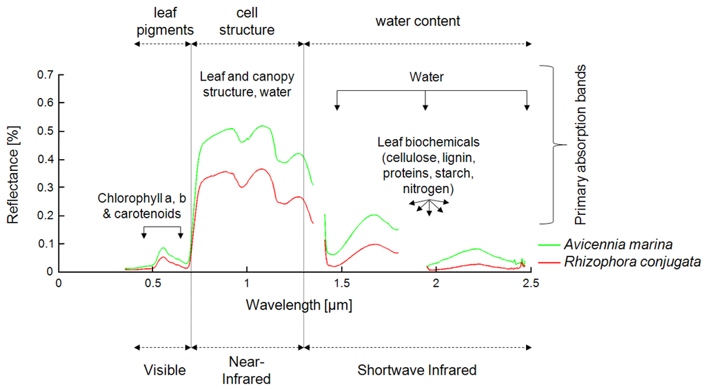 Remotesensing 03 00878 g003 1024