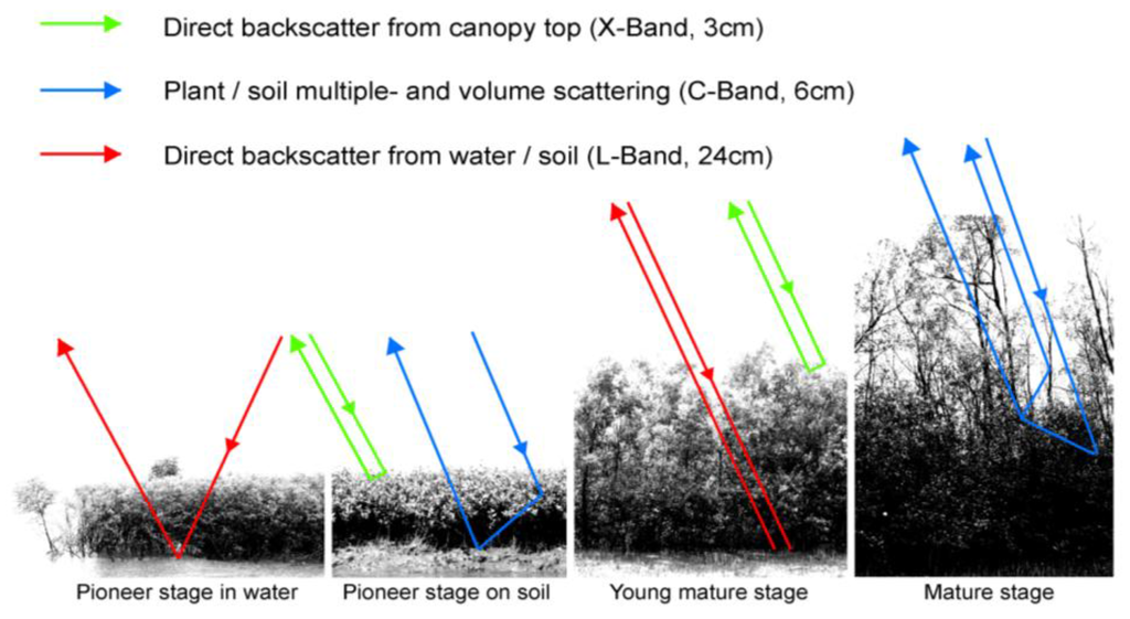 Remotesensing 03 00878 g004 1024