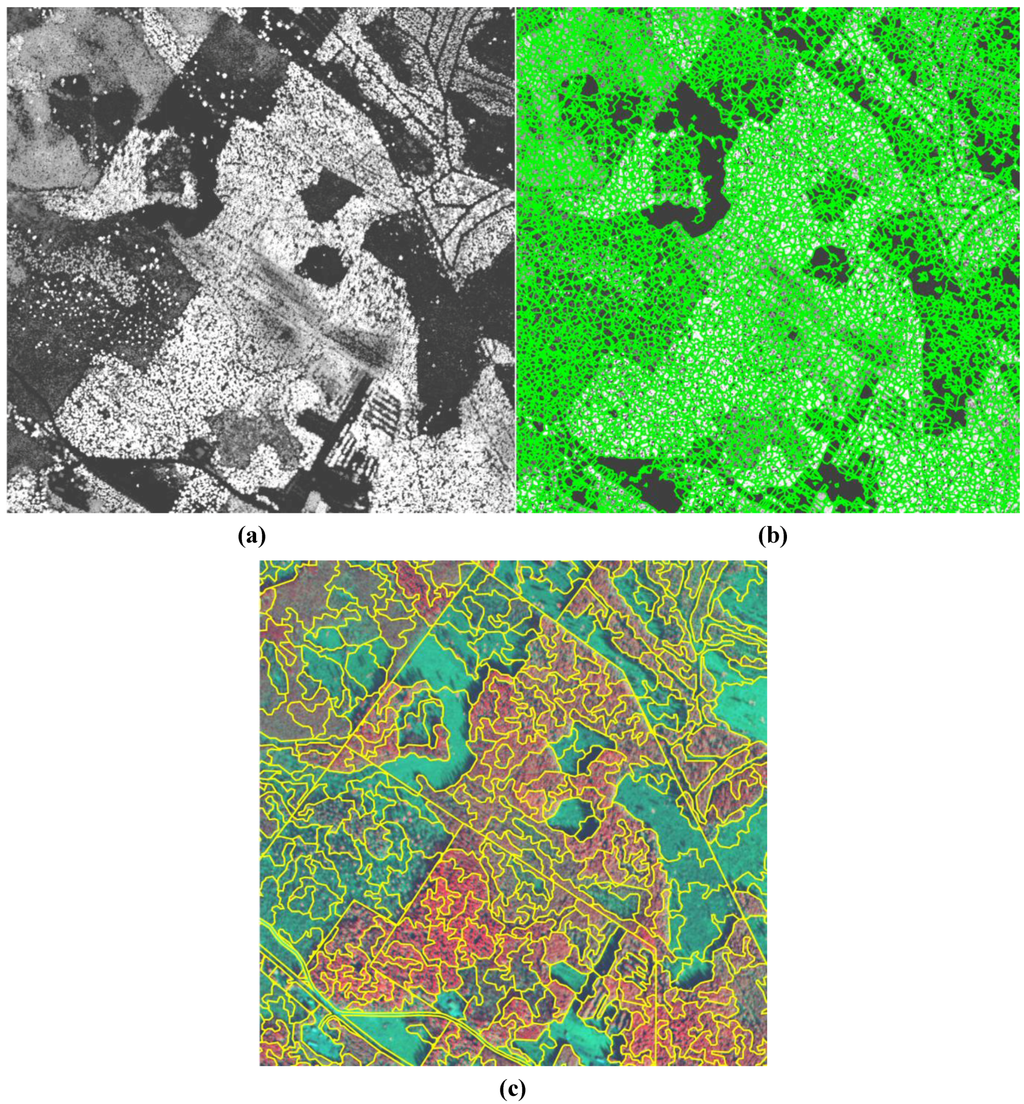 Remotesensing 03 00945 g002 1024