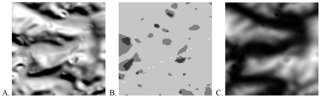 Remotesensing 03 01323 g003 1024