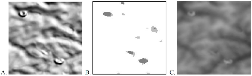 Remotesensing 03 01323 g004 1024