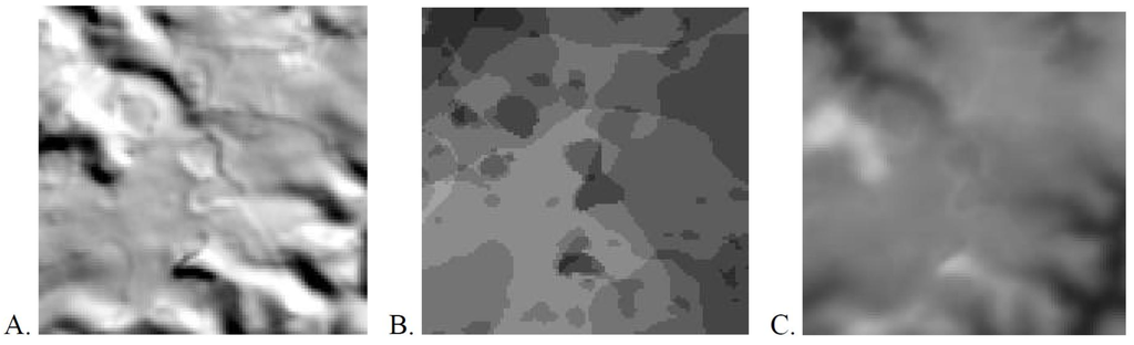 Remotesensing 03 01323 g005 1024