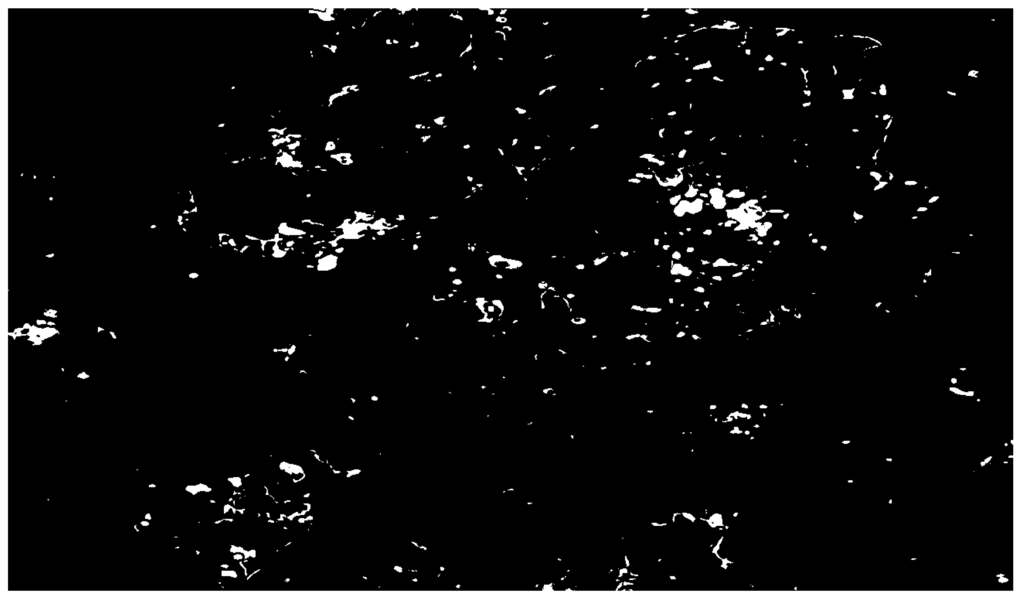 Remotesensing 03 01323 g010 1024