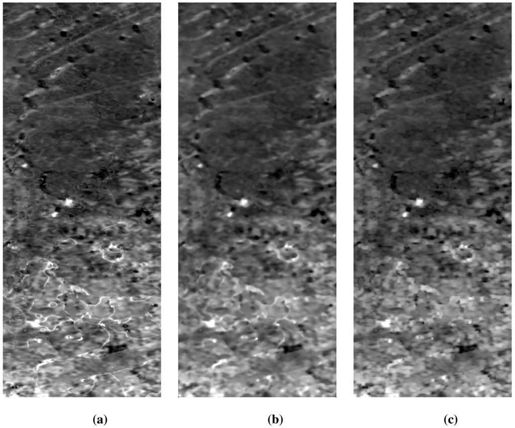 Remotesensing 03 01323 g011 1024