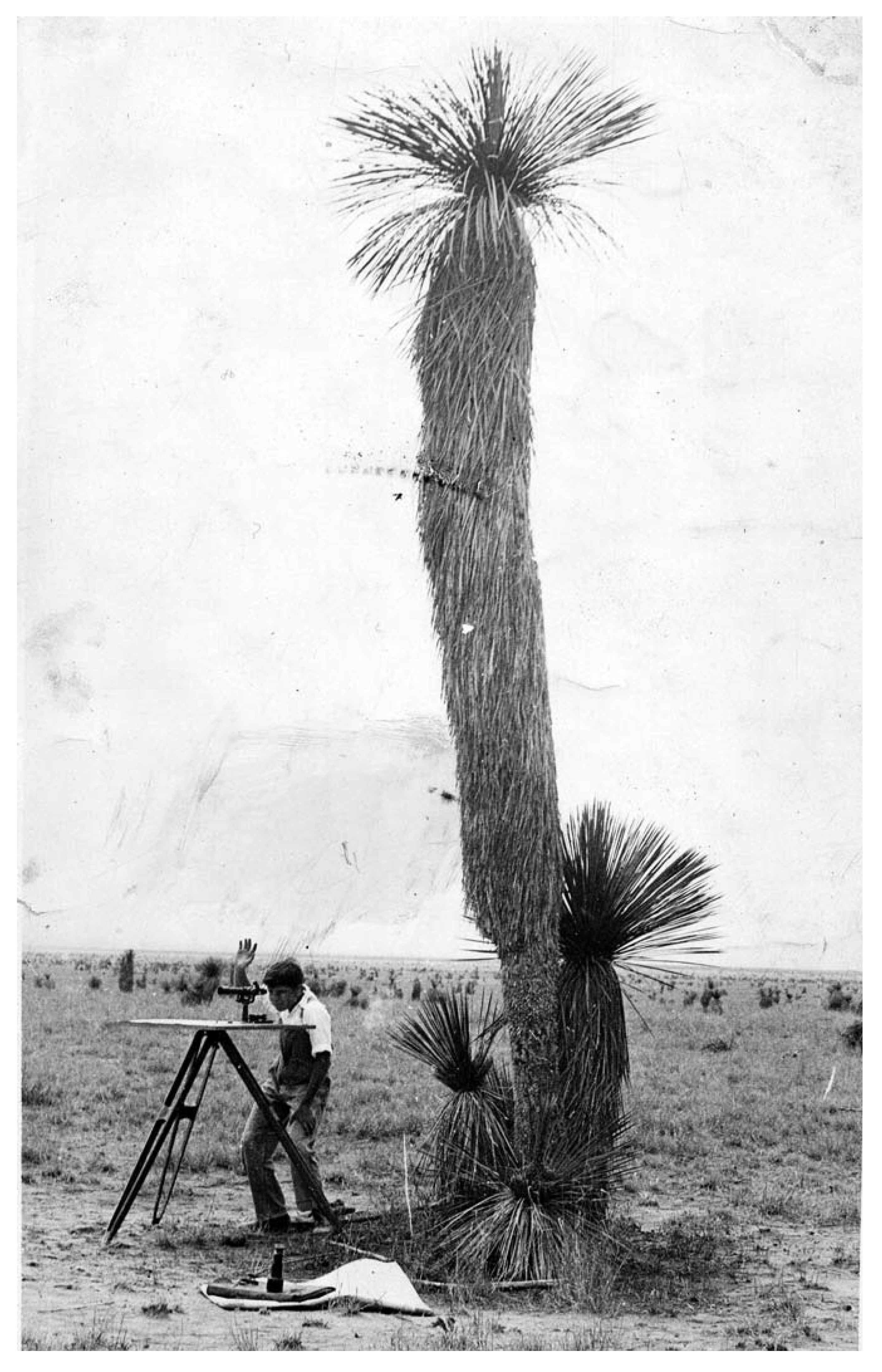 Remotesensing 03 02089 g002