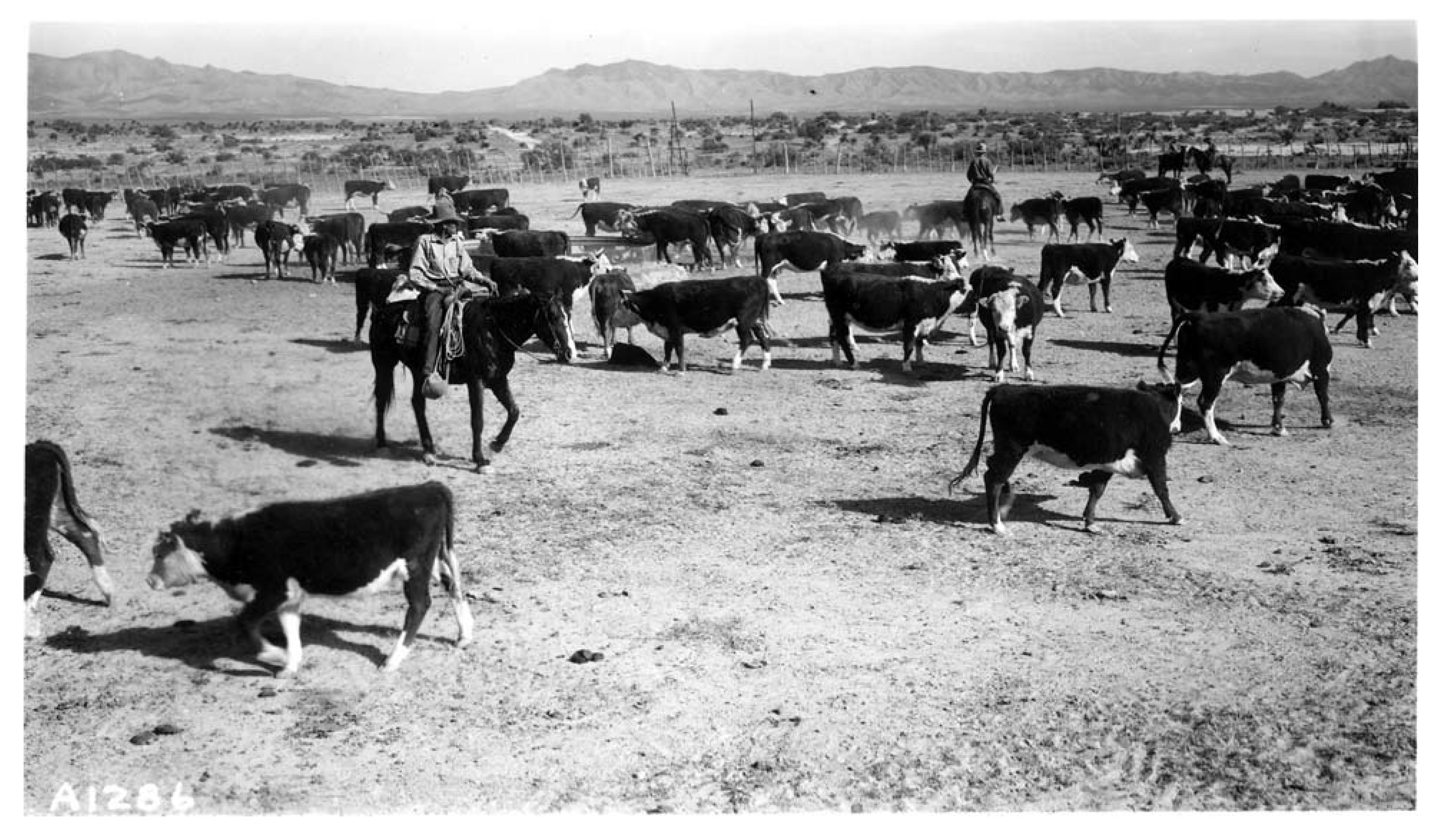 Remotesensing 03 02089 g004