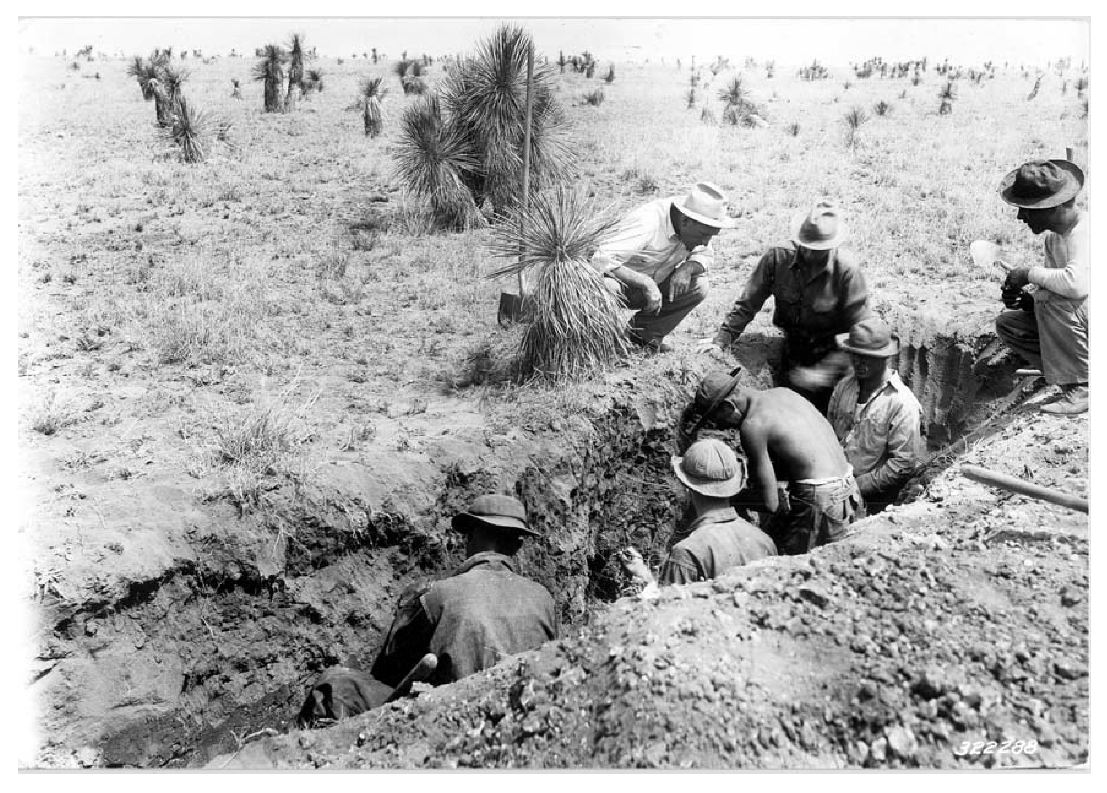 Remotesensing 03 02089 g007