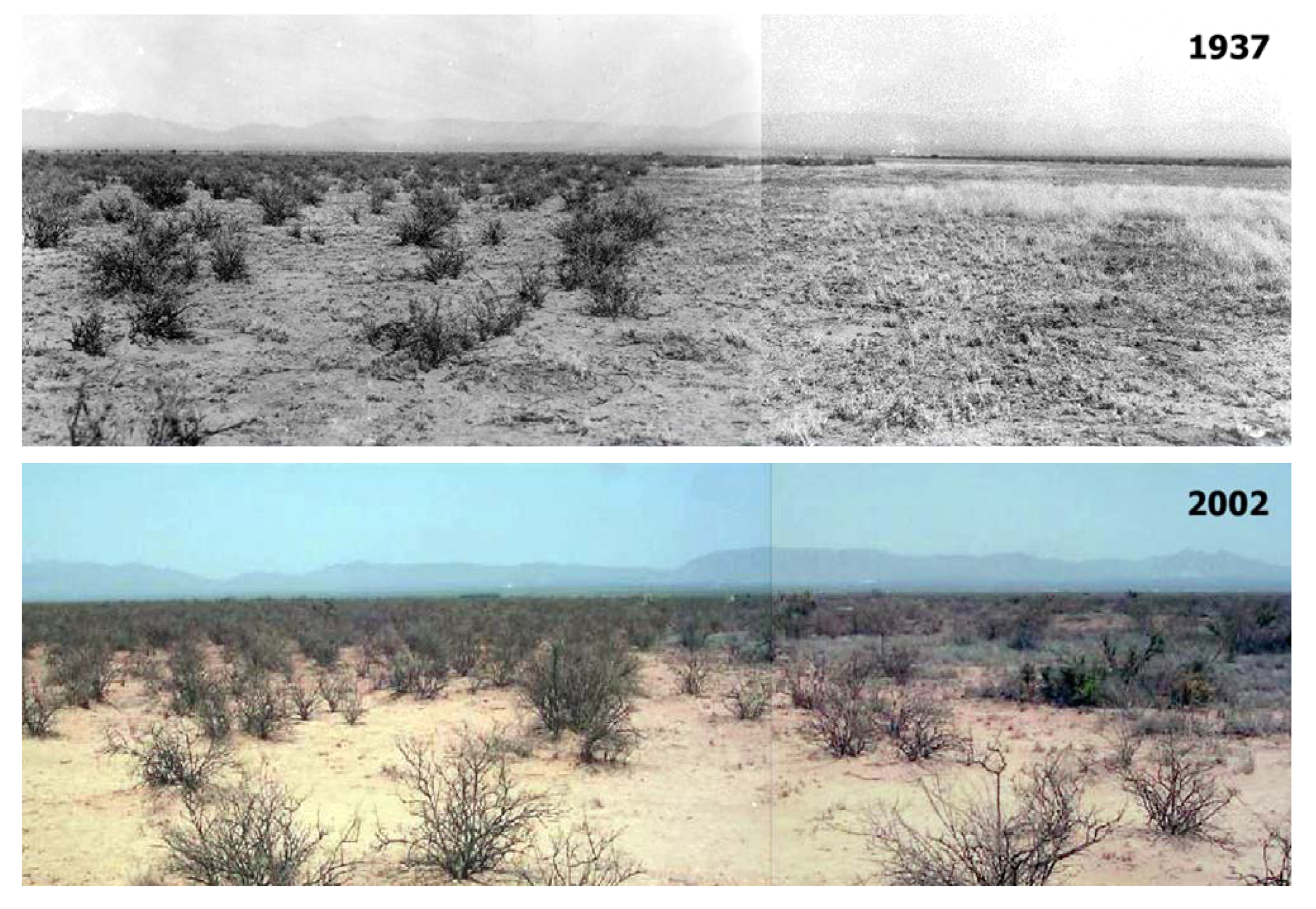 Remotesensing 03 02089 g009