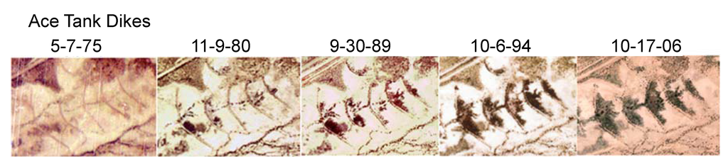 Remotesensing 03 02089 g011 1024