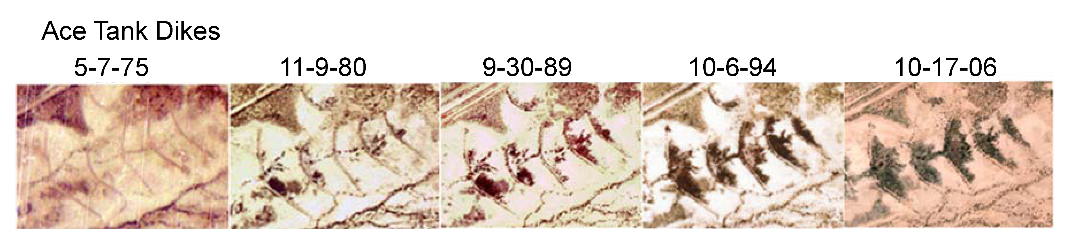 Remotesensing 03 02089 g011