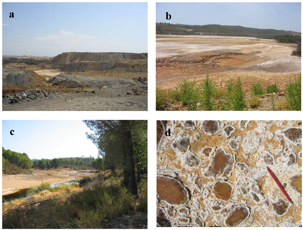 Remotesensing 03 02166 g011 1024