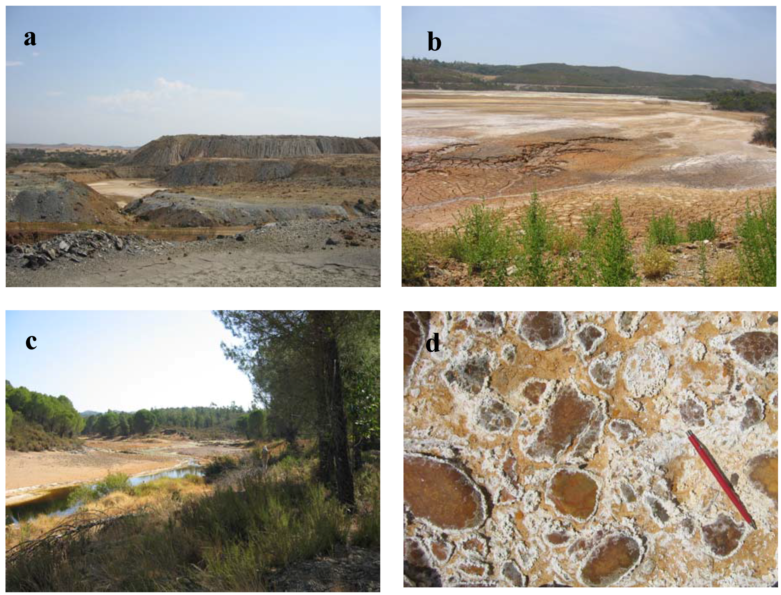 Remotesensing 03 02166 g011