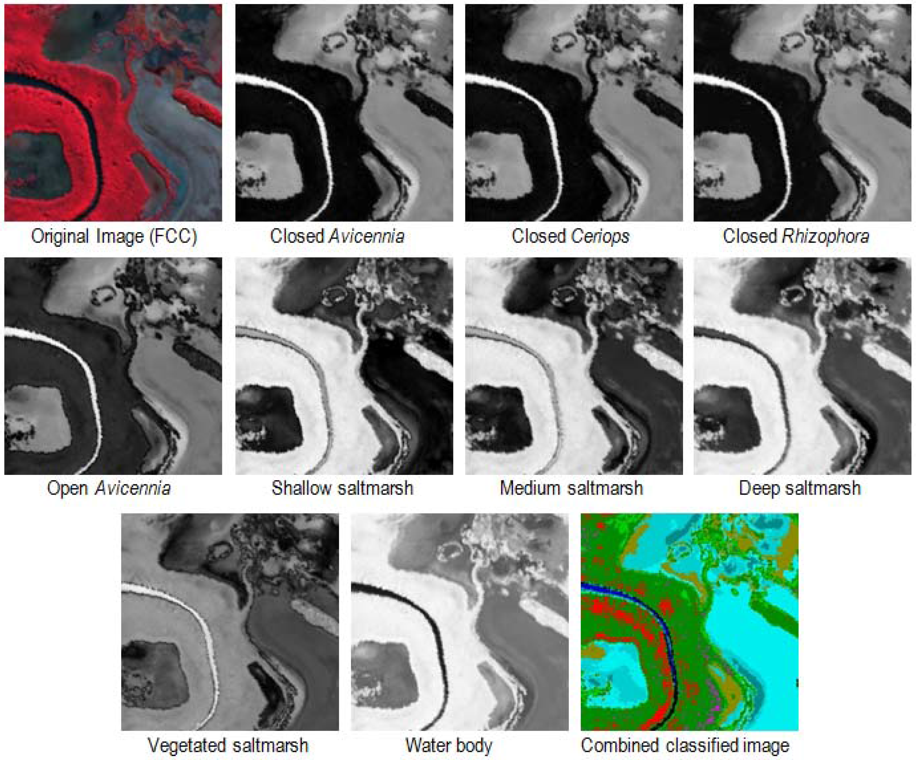 Remotesensing 03 02222 g008