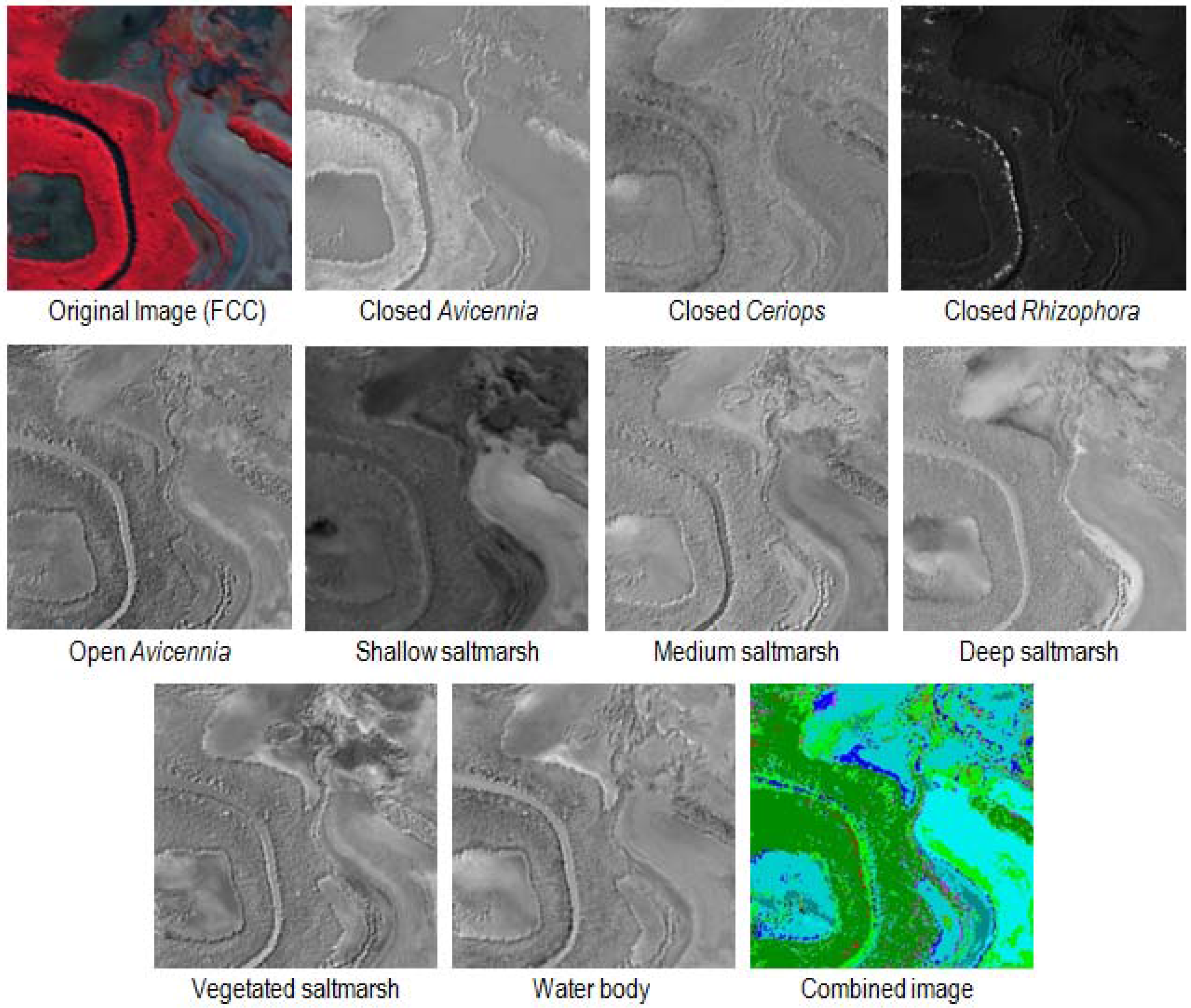 Remotesensing 03 02222 g009