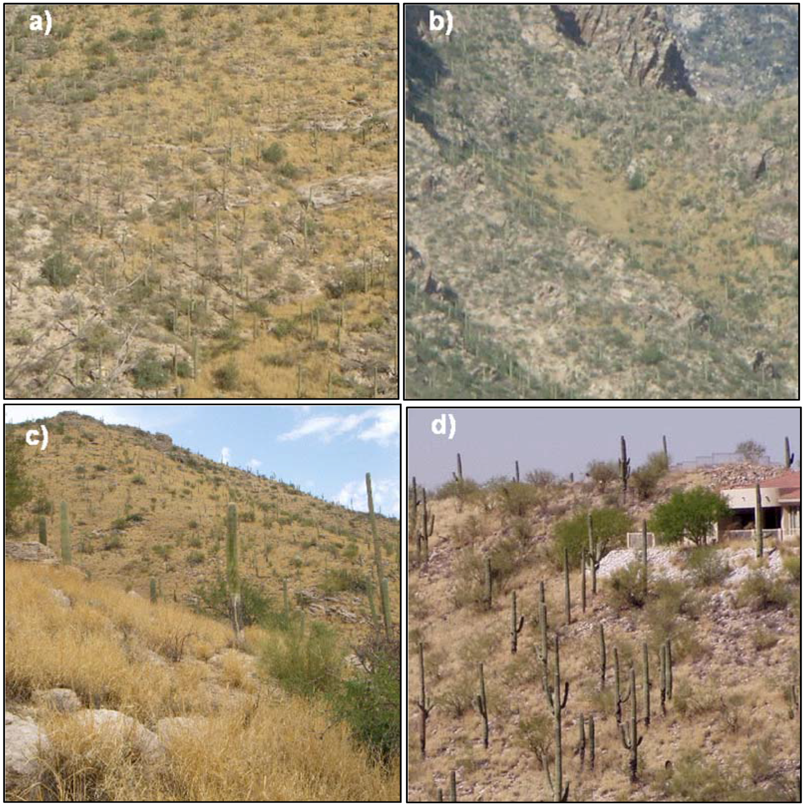 Remotesensing 03 02283 g001