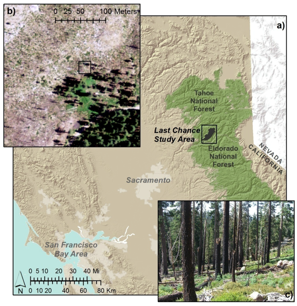 Remotesensing 03 02420 g001 1024