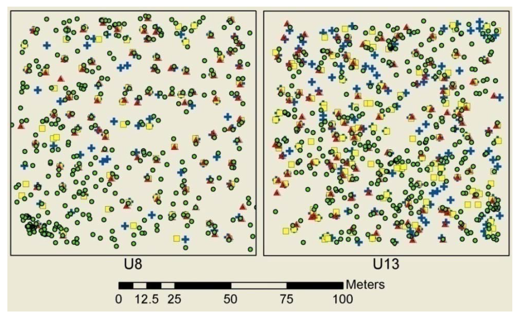 Remotesensing 03 02494 g006b 1024