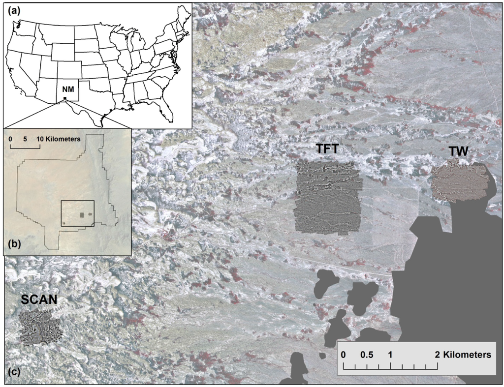Remotesensing 03 02529 g002 1024