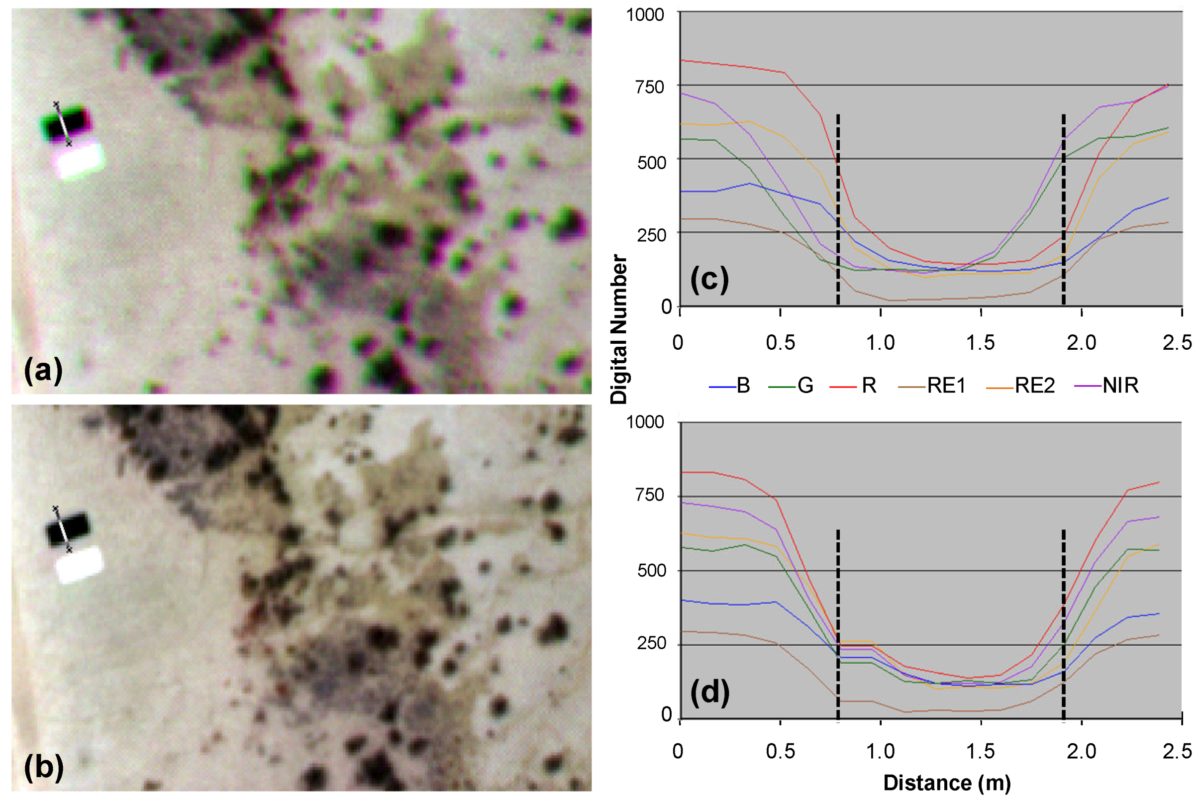 Remotesensing 03 02529 g006
