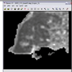 Remotesensing 03 02605 i101