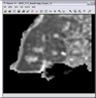 Remotesensing 03 02605 i103
