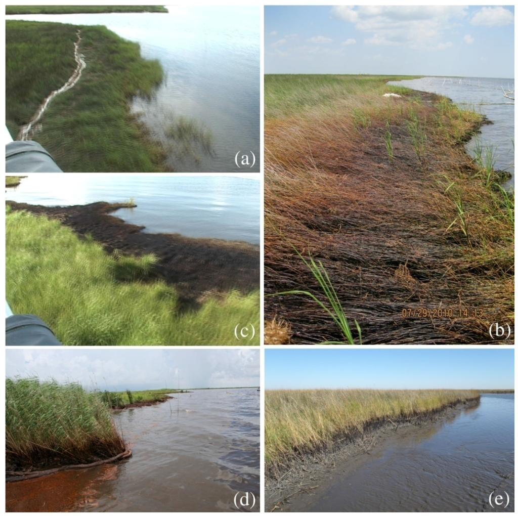 Remotesensing 03 02630 g003 1024