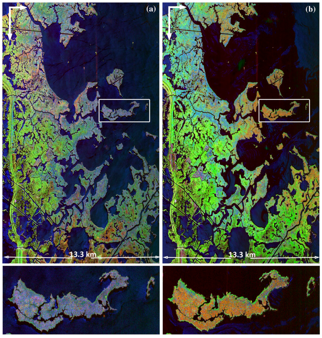 Remotesensing 03 02630 g009 1024