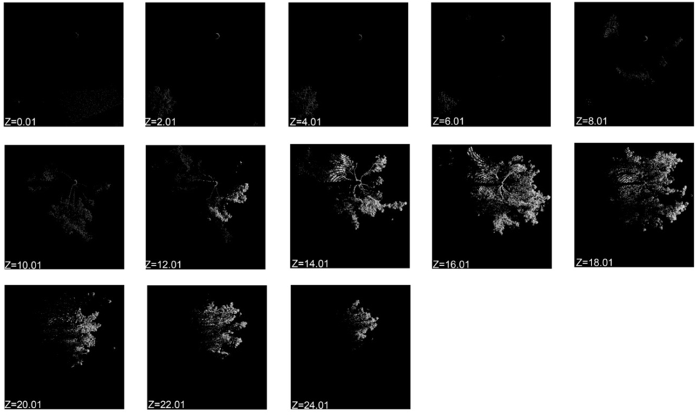 Remotesensing 04 00001f5