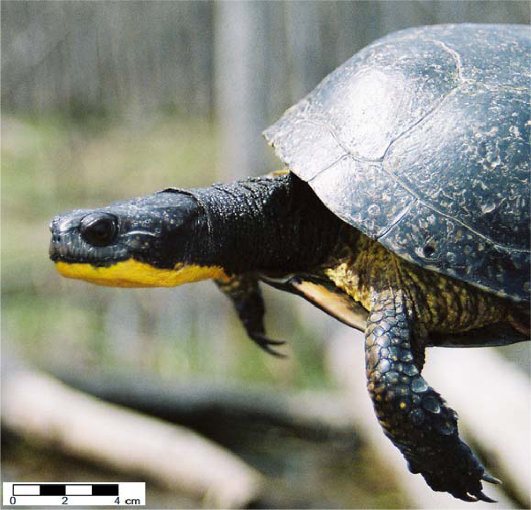 Remotesensing 04 00194f1